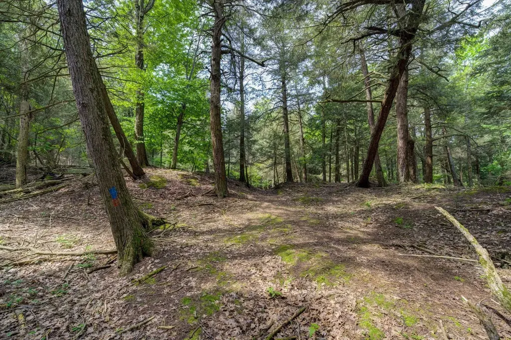 3312 Old State Road Lake Township MI 49635