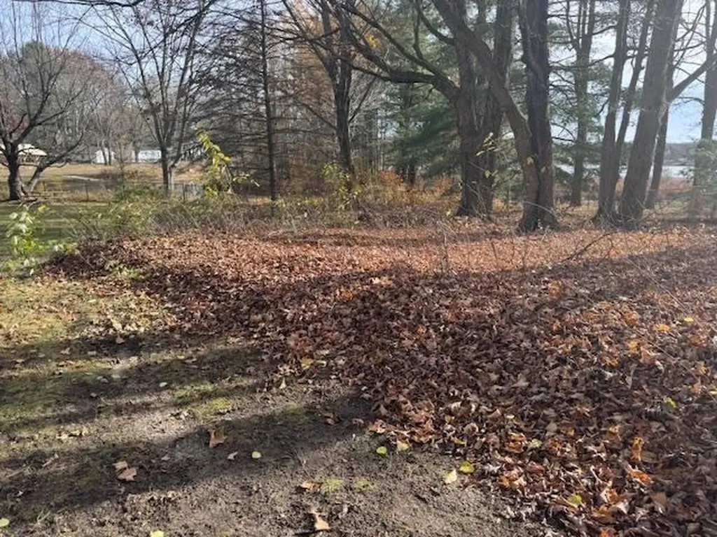 488 Autumn Selma Township MI 49601