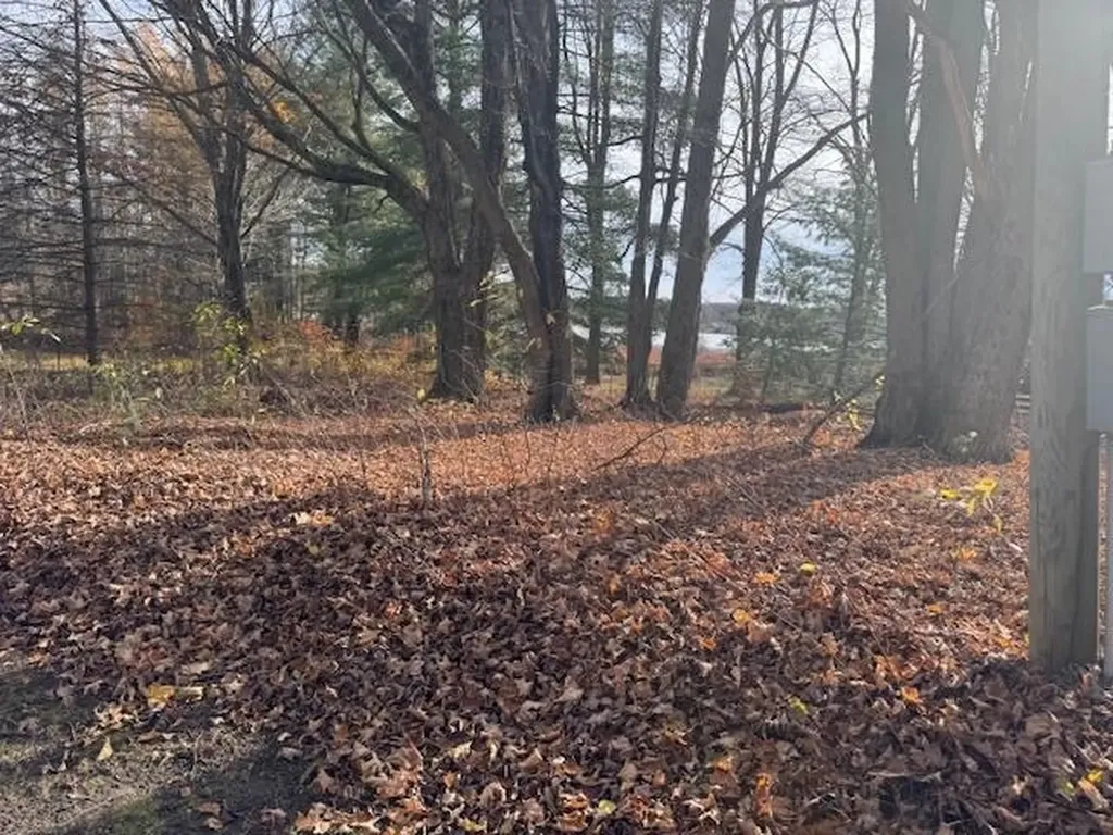 488 Autumn Selma Township MI 49601