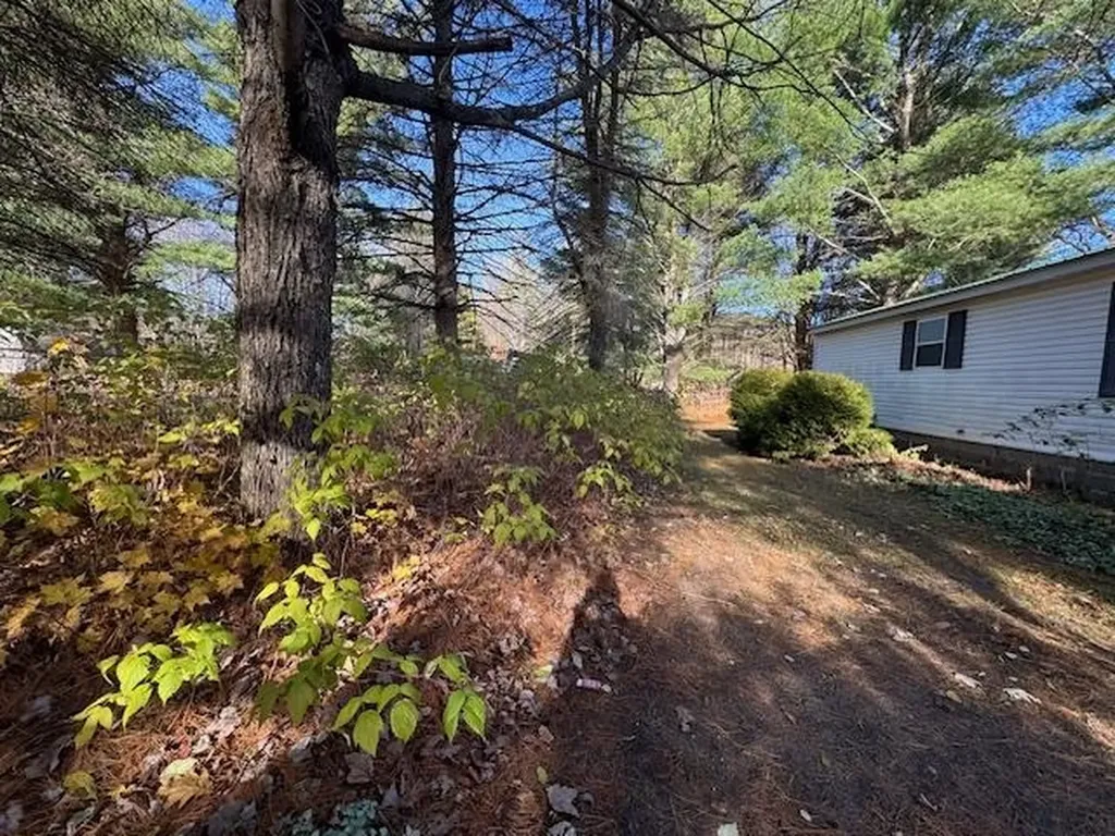 488 Autumn Selma Township MI 49601