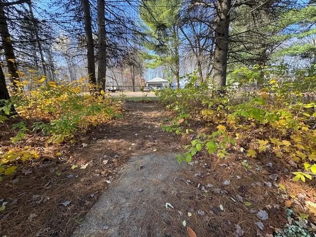488 Autumn Selma Township MI 49601