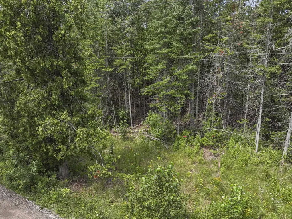 14935 N Cathead Bay Drive Leelanau Township MI 49670