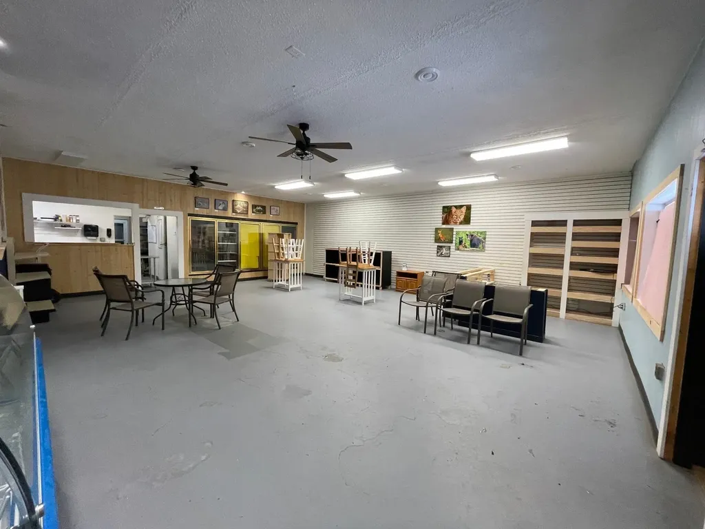 8294 Deadstream Road Lake Township MI 49640