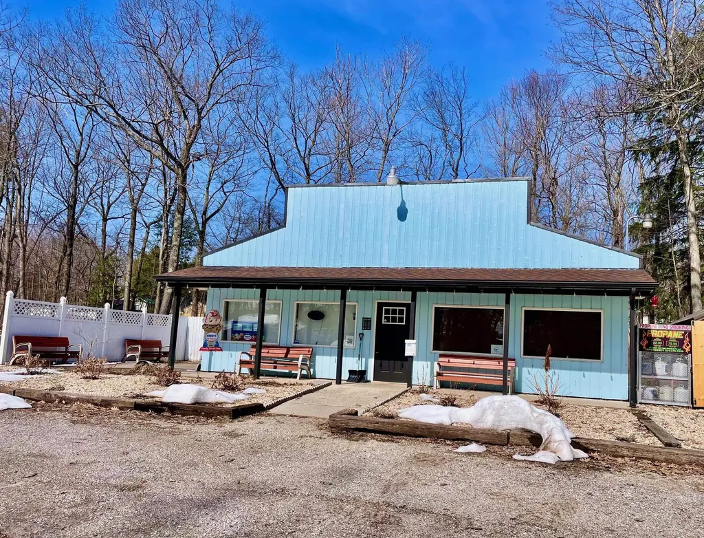 8294 Deadstream Road Lake Township MI 49640