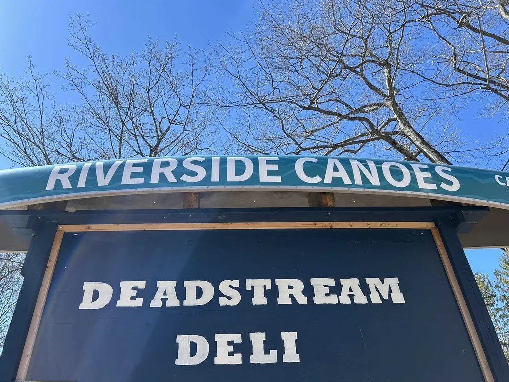 8294 Deadstream Road Lake Township MI 49640