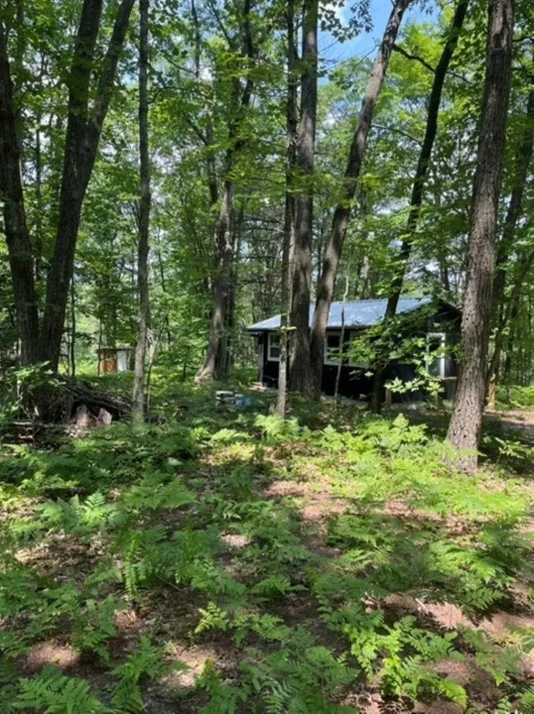 942 N 47 1/2 Road Cedar Creek Township MI 49663