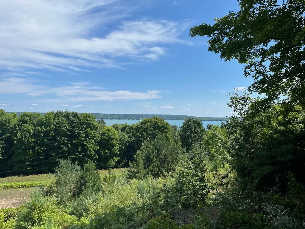 00 E Hidden Beech Drive Solon Township MI 49621