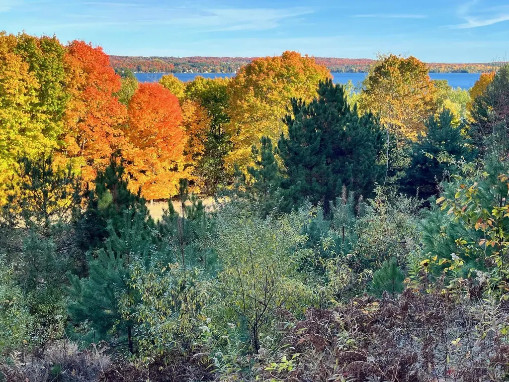 00 E Hidden Beech Drive Solon Township MI 49621