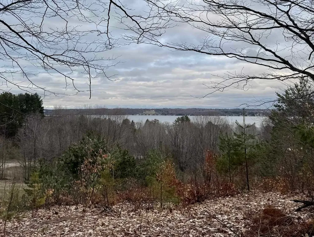 00 E Hidden Beech Drive Solon Township MI 49621