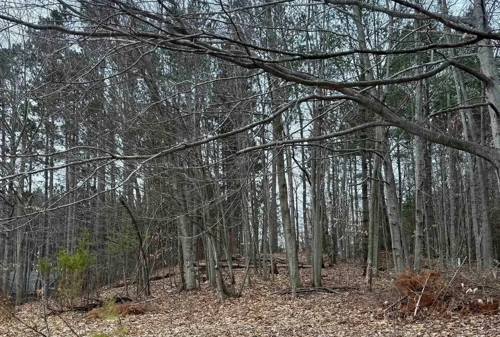 00 E Hidden Beech Drive Solon Township MI 49621