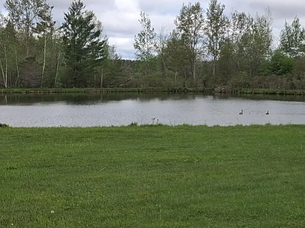 Lot 43-46 River Drive Butterfield Township MI 49667