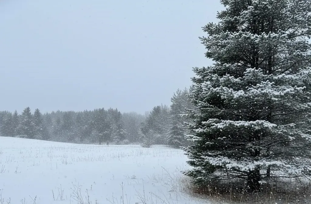 20.71 Spruce Hollow Trace Fife Lake Township MI 49633