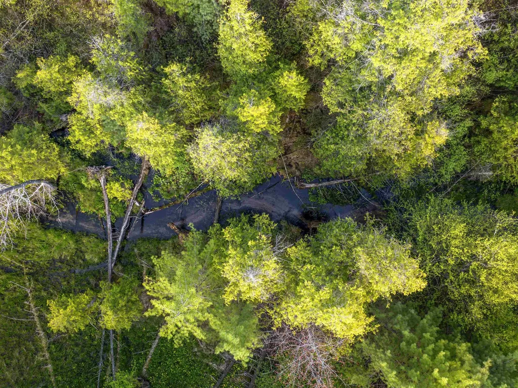 00 Honor Highway Inland Township MI 49643