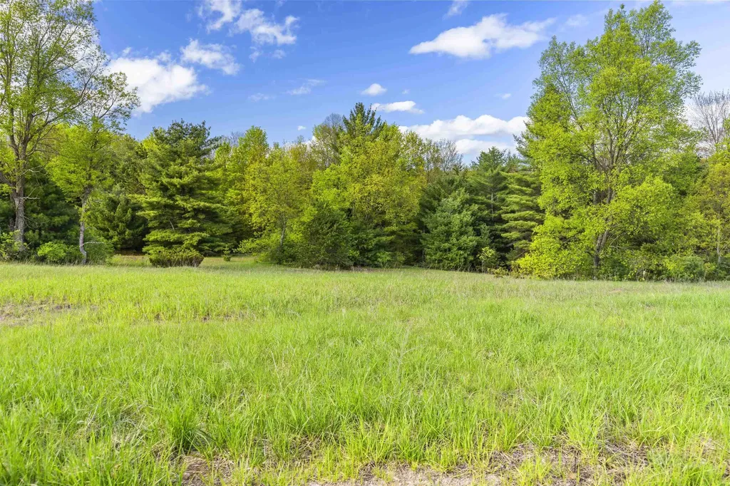 00 Honor Highway Inland Township MI 49643