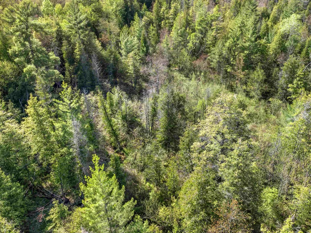00 Honor Highway Inland Township MI 49643
