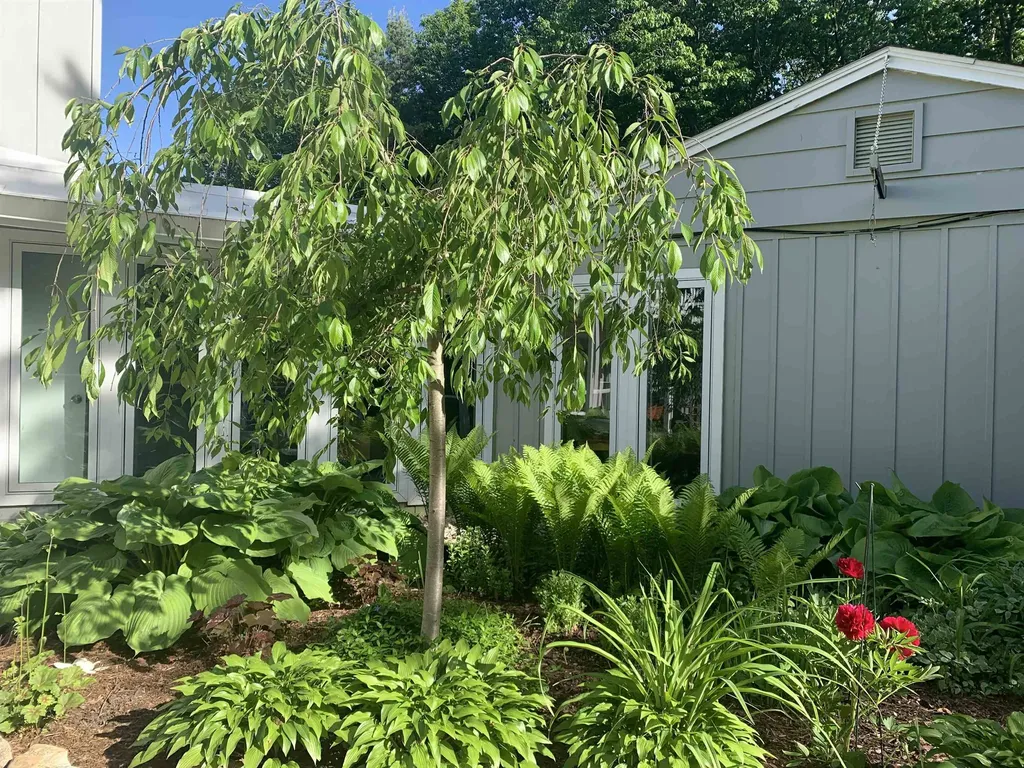 10774 S Us-31 Elk Rapids Township MI 49690