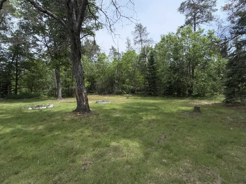 1740 Mccredie Road South Branch Township MI 48653