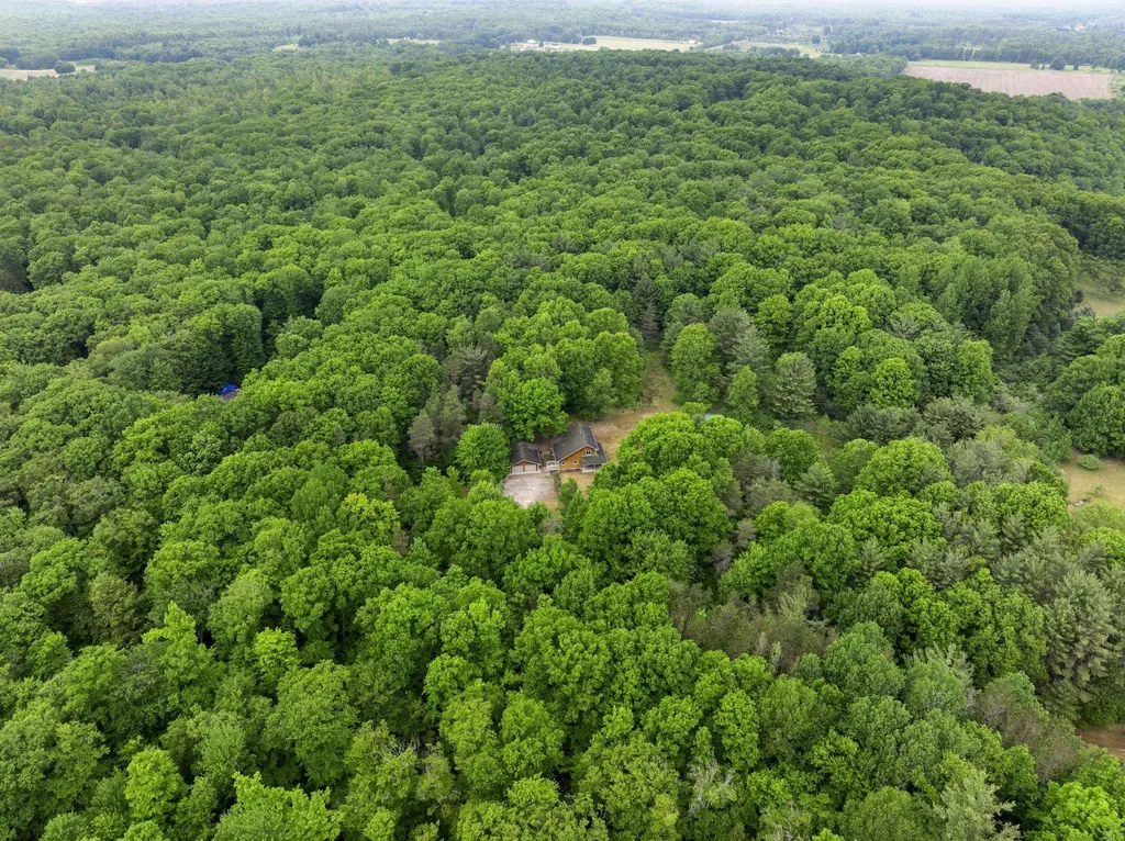 12270 Griffith Road Dickson Township MI 49619