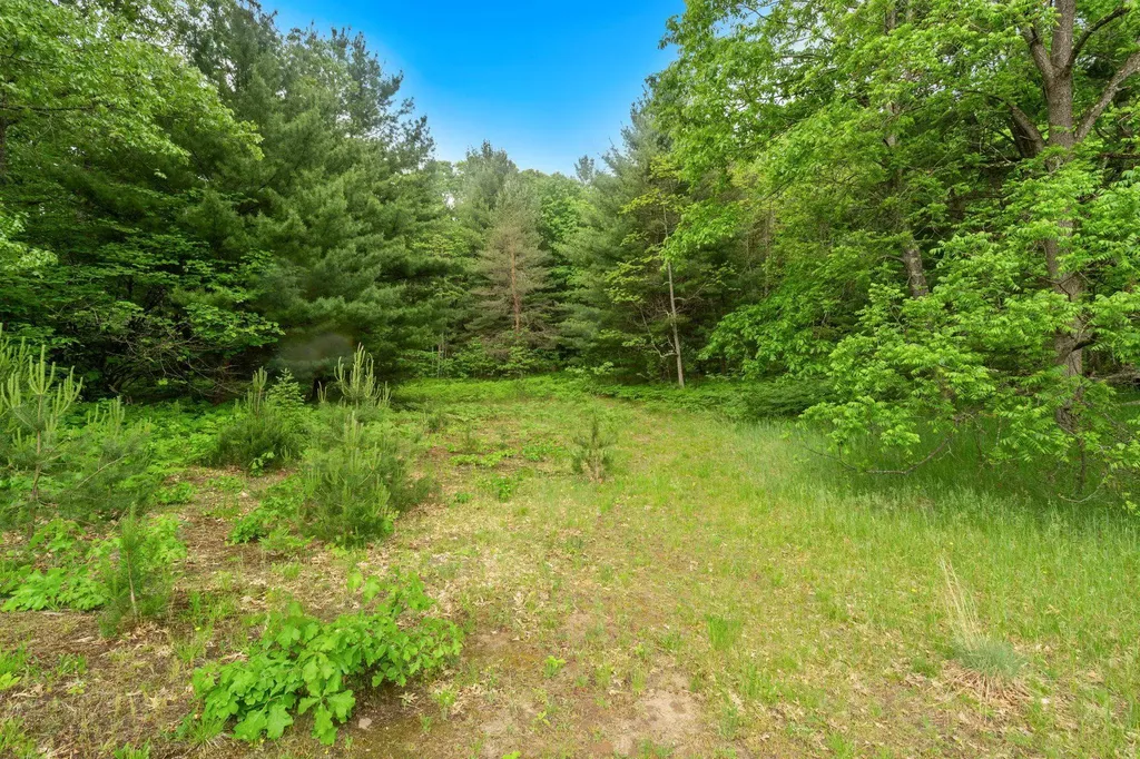 12270 Griffith Road Dickson Township MI 49619