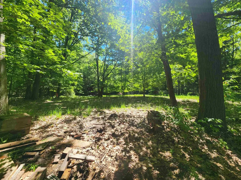 18219 Northwood Highway Arcadia Township MI 49613