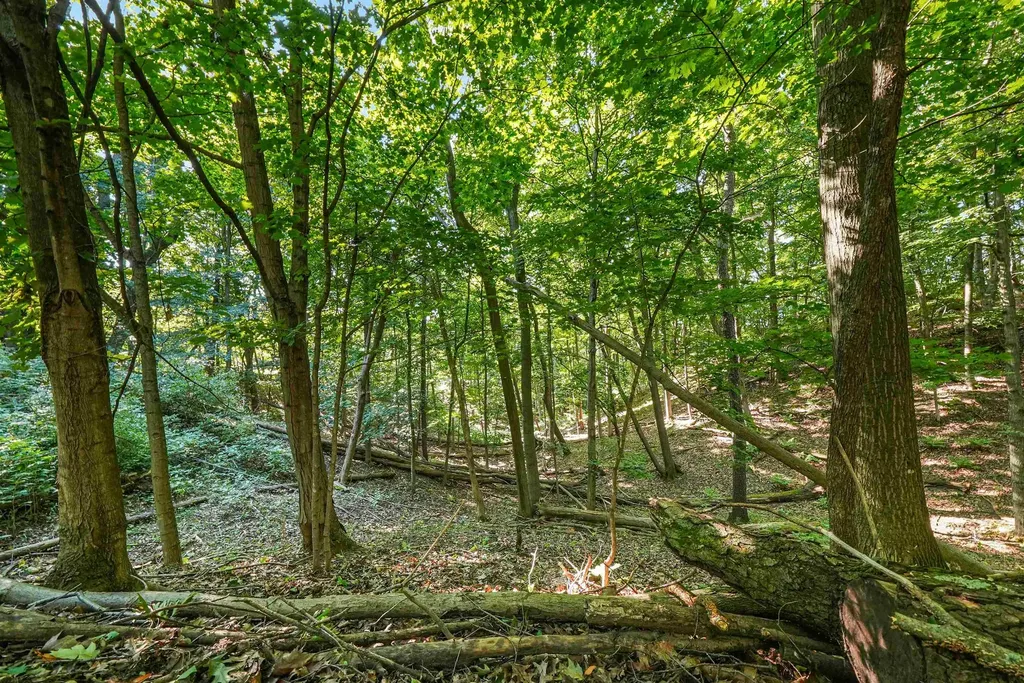 00-3 Carlson Road Crystal Lake Township MI 49635