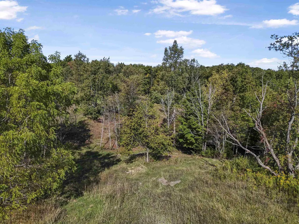 00-3 Carlson Road Crystal Lake Township MI 49635