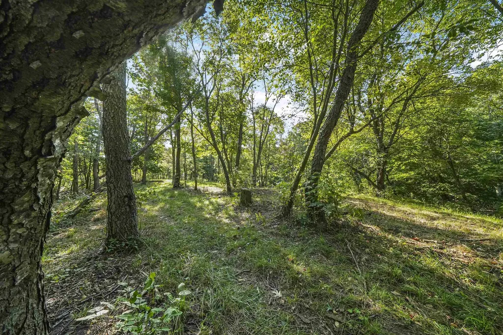 00-3 Carlson Road Crystal Lake Township MI 49635