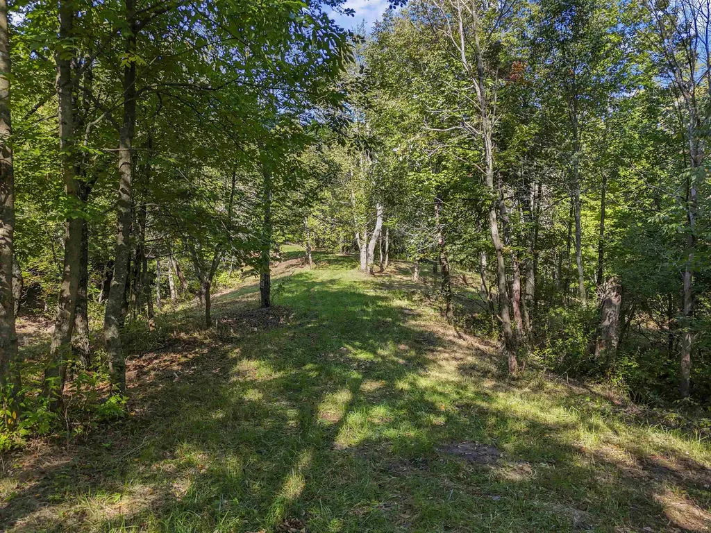 00-2 Carlson Road Crystal Lake Township MI 49635