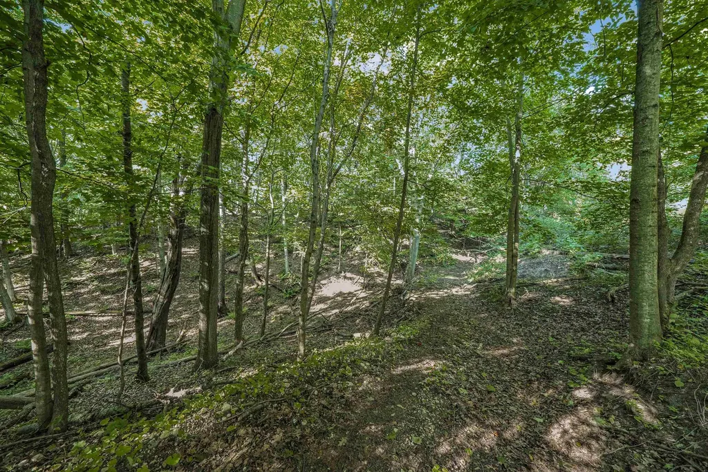 00-2 Carlson Road Crystal Lake Township MI 49635
