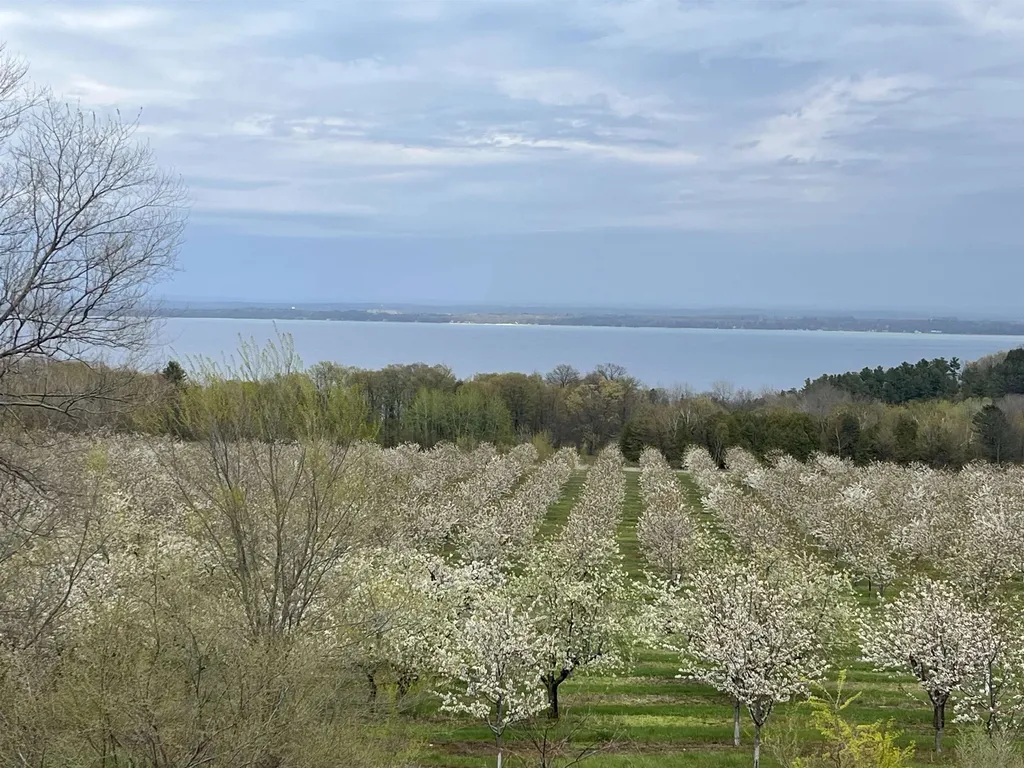 12586 Center Drive Peninsula Township MI 49686