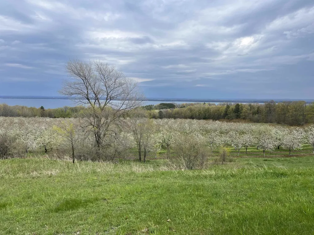 12586 Center Drive Peninsula Township MI 49686