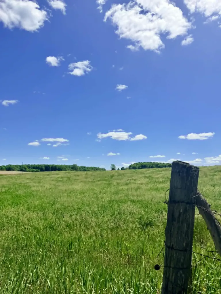 196 E Center Paradise Township MI 49649