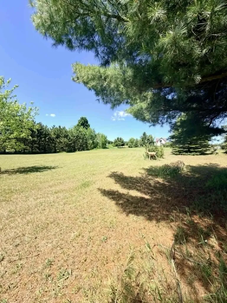 196 E Center Paradise Township MI 49649