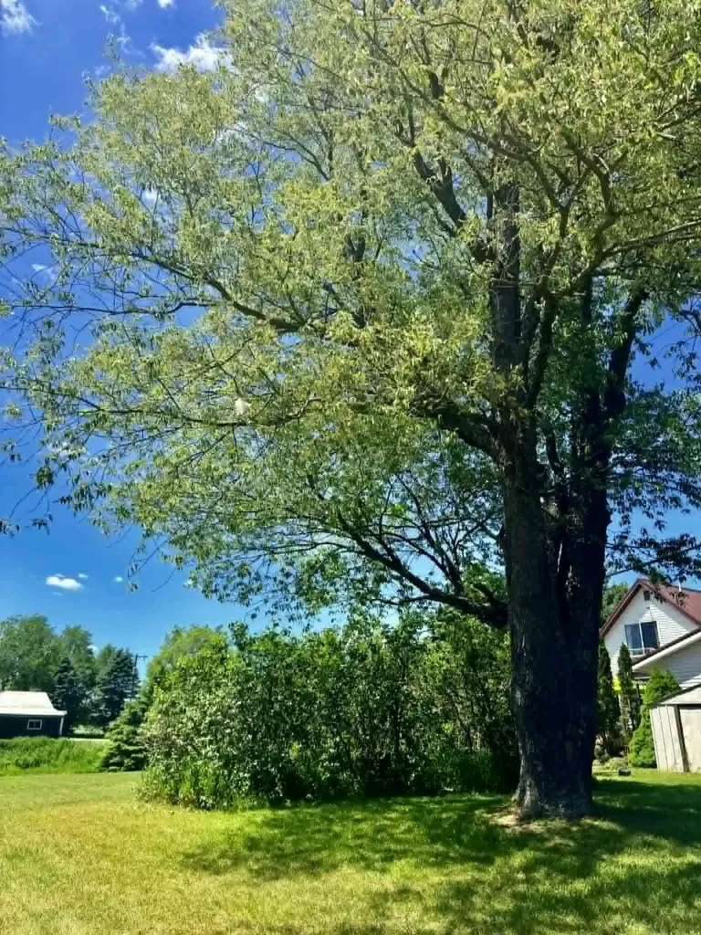 196 E Center Paradise Township MI 49649