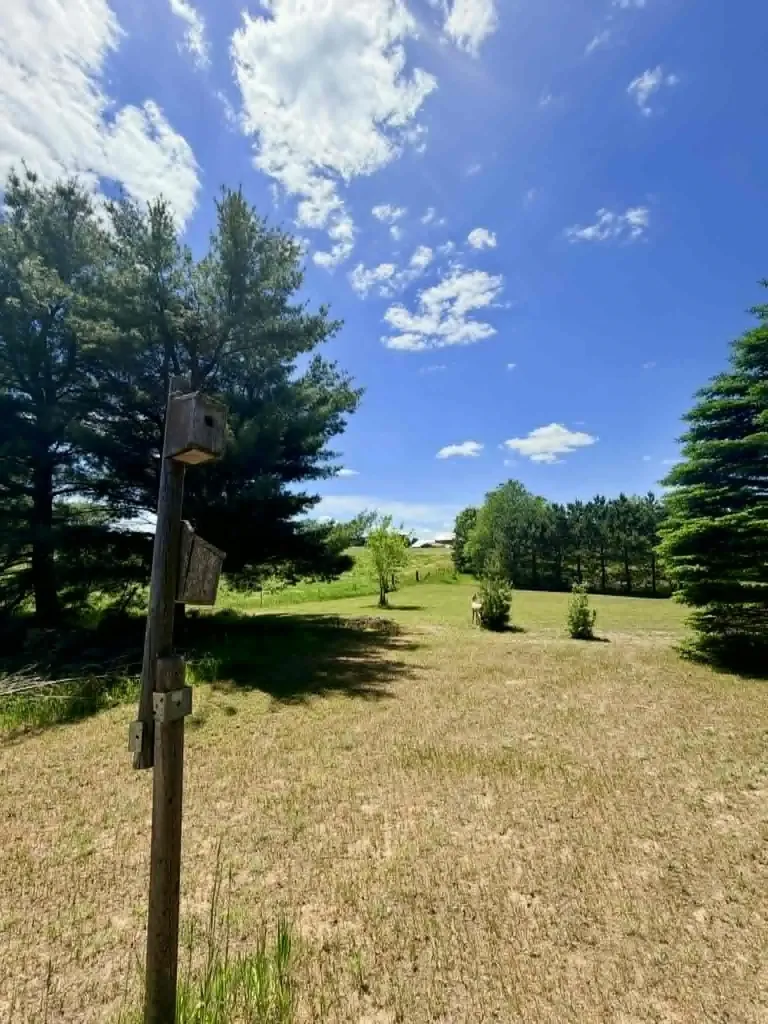 196 E Center Paradise Township MI 49649