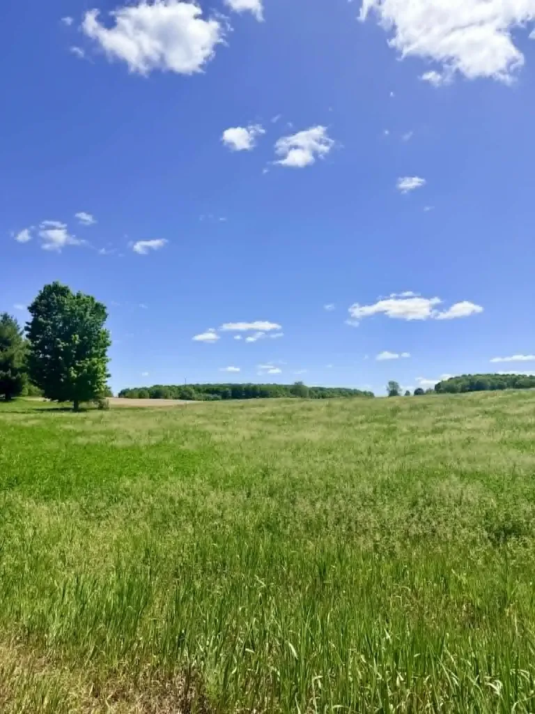 196 E Center Paradise Township MI 49649