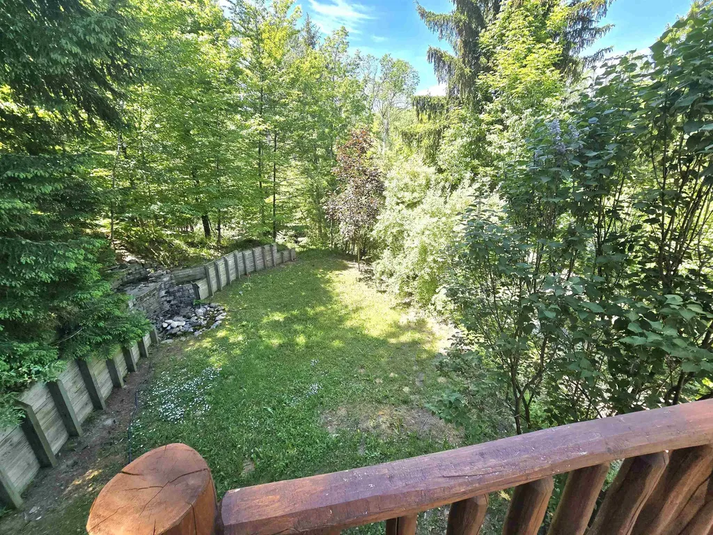 790 N Eckhardt Road Central Lake Township MI 49615