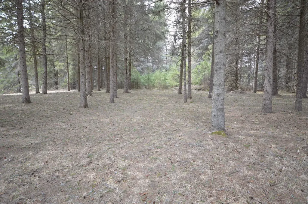 1776 High Lake Road East Bay Township MI 49696