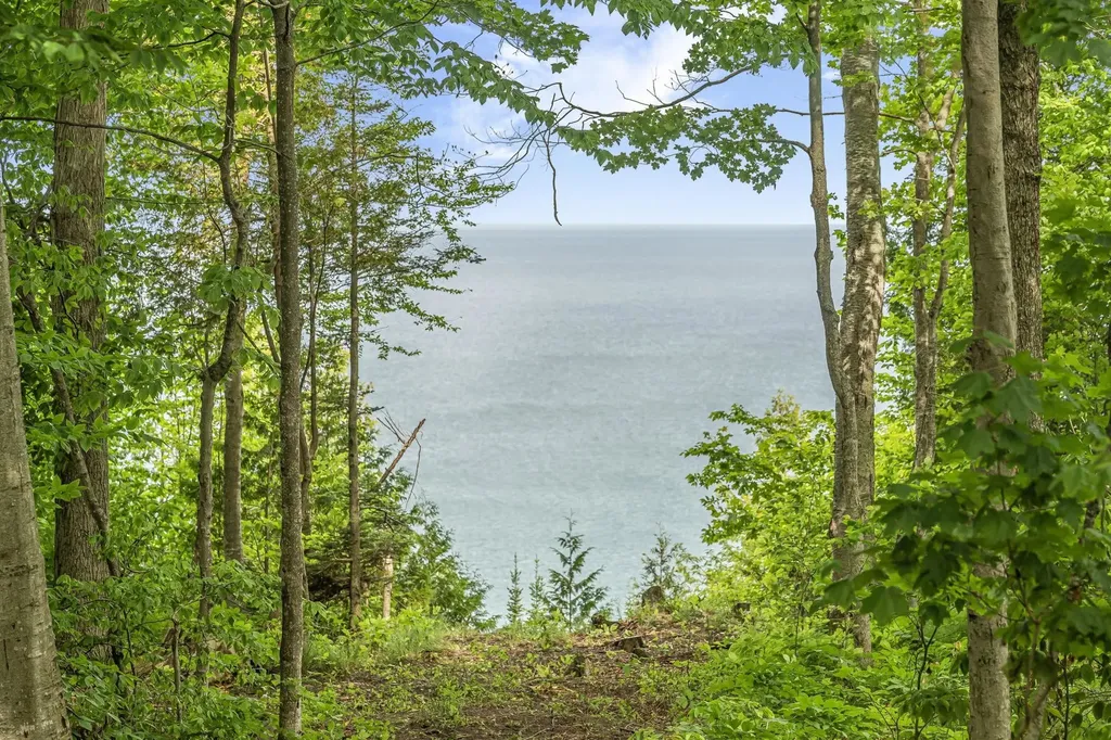 12271 N Island View Drive Leelanau Township MI 49670