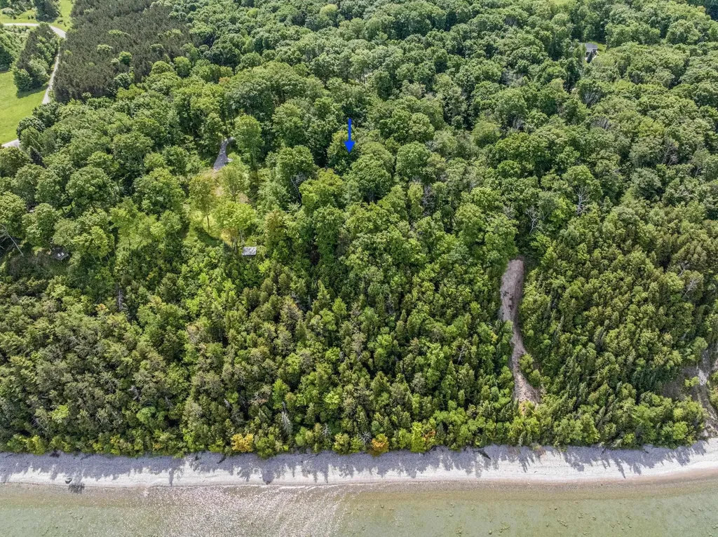 12271 N Island View Drive Leelanau Township MI 49670