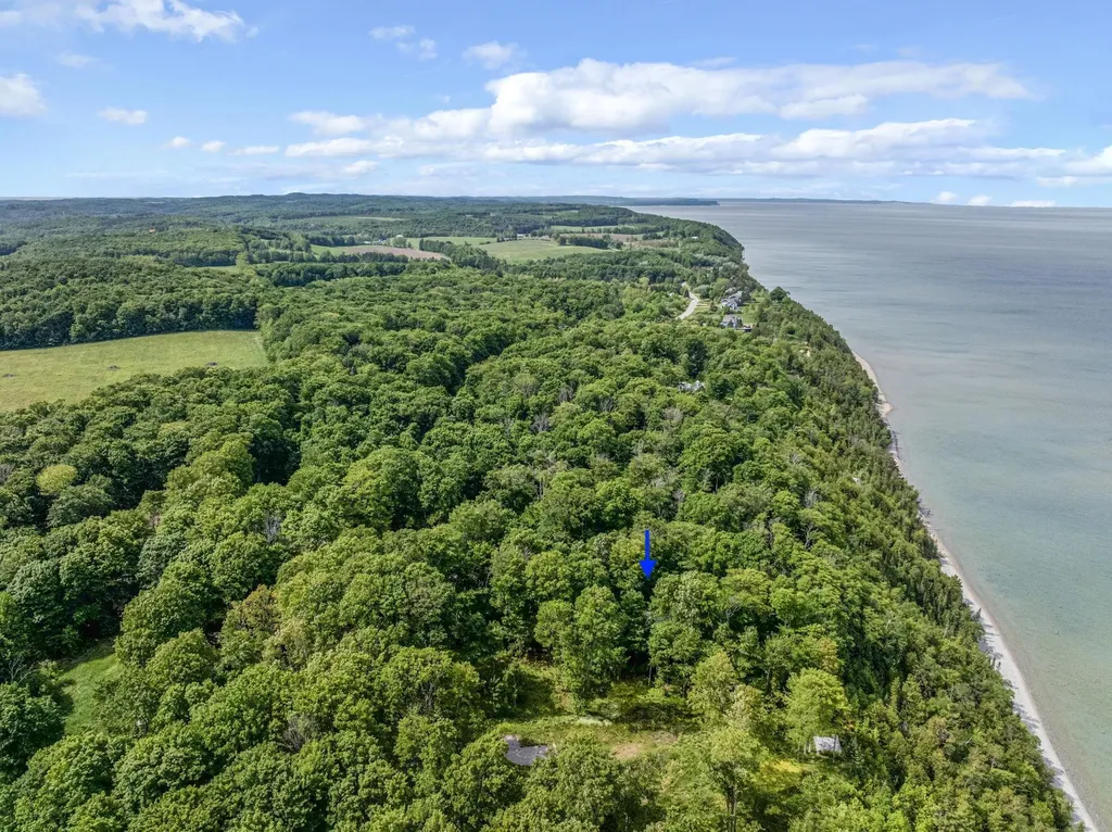 12271 N Island View Drive Leelanau Township MI 49670