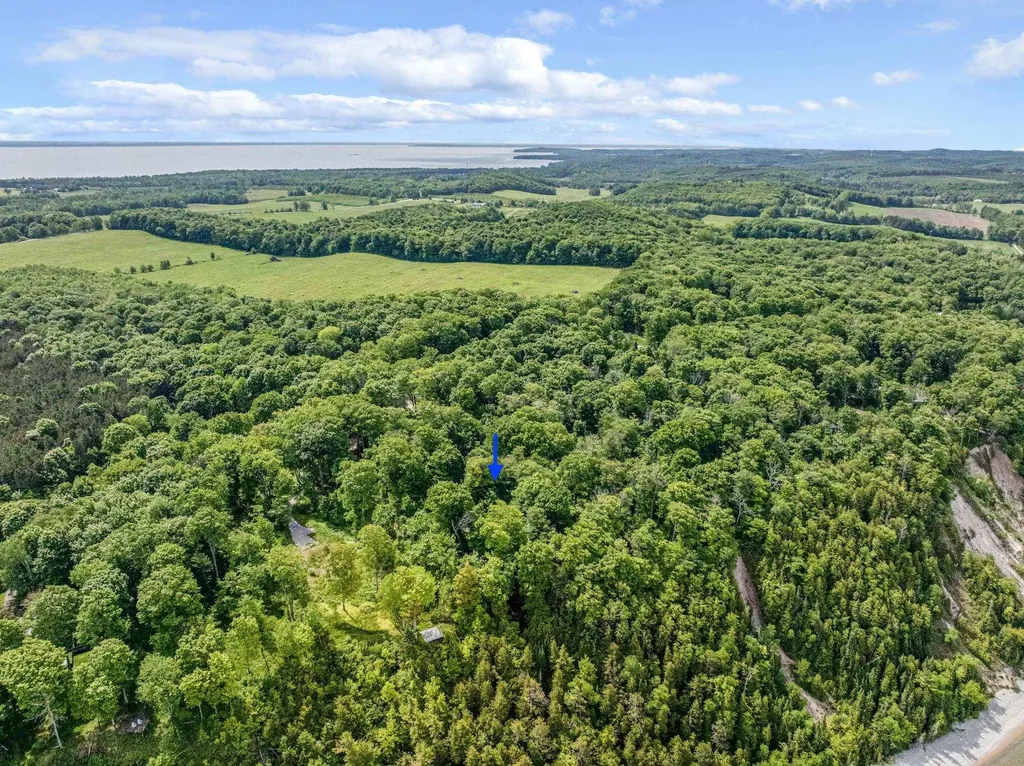 12271 N Island View Drive Leelanau Township MI 49670