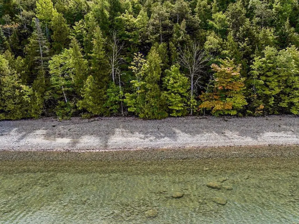 12271 N Island View Drive Leelanau Township MI 49670