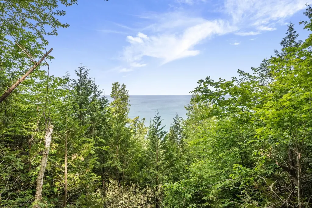 12271 N Island View Drive Leelanau Township MI 49670
