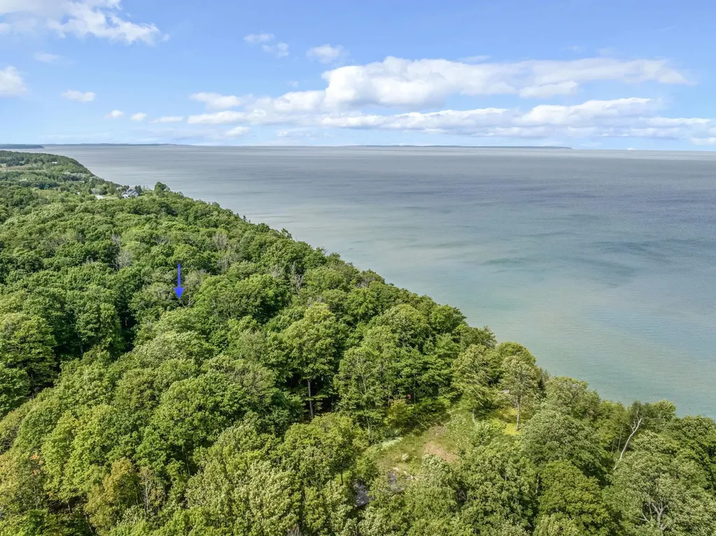 12271 N Island View Drive Leelanau Township MI 49670