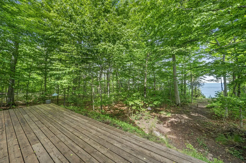12271 N Island View Drive Leelanau Township MI 49670