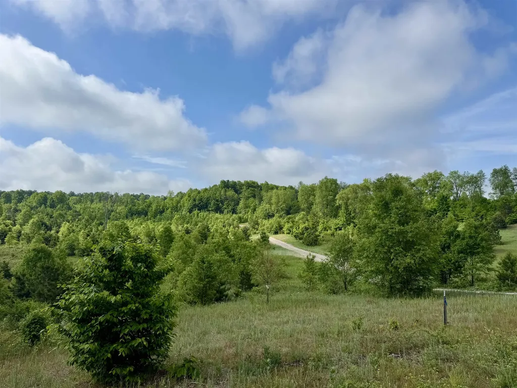 A5 & A9 Kasson Road Kasson Township MI 49664
