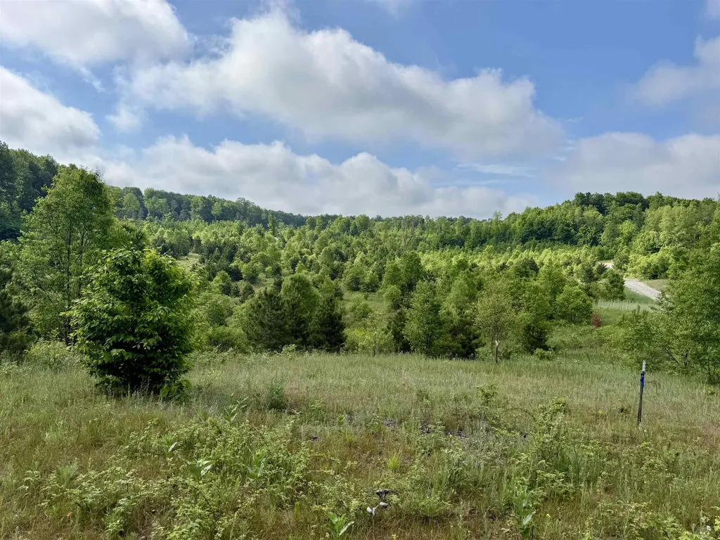 A5 & A9 Kasson Road Kasson Township MI 49664