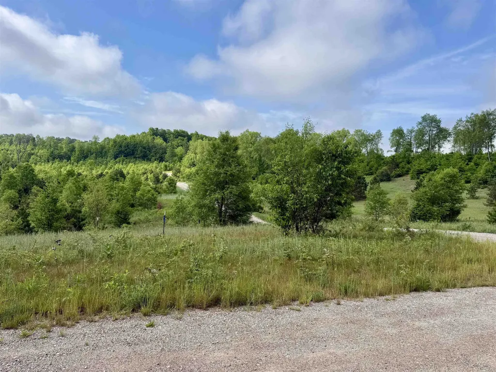 A5 & A9 Kasson Road Kasson Township MI 49664