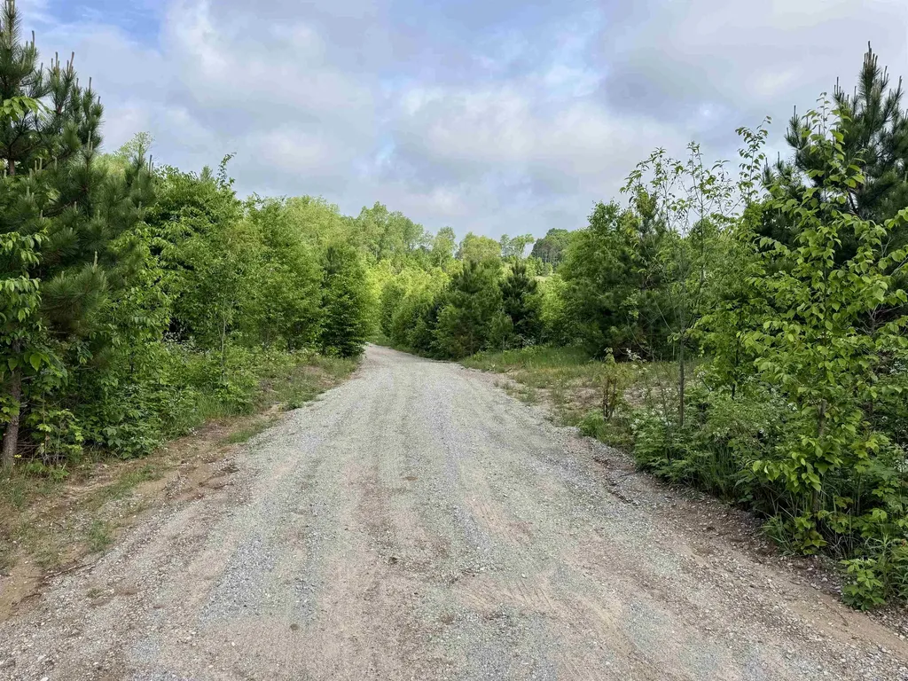 A5 & A9 Kasson Road Kasson Township MI 49664